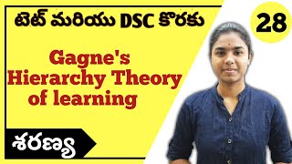 Gagnes Hierarchy Theory of Learning explained in telugu  CDP  Ctet Telugu  Ctet 2021 [upl. by Nathanson]