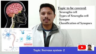 Nervous system I Part 2 I General Anatomy Lectures Series I Dr Vibhash Vaidya [upl. by Teena]