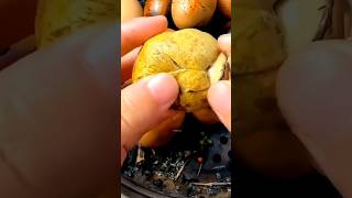 Why Do Chinese People Eat Fertilized Eggs [upl. by Olmstead288]