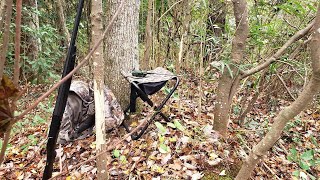 Big Buck In Cutover 1st Dog Deer Hunt of 2022  Lovers Lane Gun Club [upl. by Mariya]