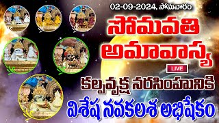 సోమవతి అమావాస్య కల్పవృక్ష నరసింహునికి విశేష నవకలశ అభిషేకం Navakalasha Abishekam Somabathi Amavasya [upl. by Clywd]