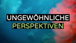 Video schneiden lassen vom Profi  cuttigo Howto Video Film Tipps Ungewöhnliche Perspektiven [upl. by Sachsse]