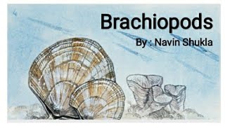 BrachiopodsByNavin ShuklaLasthope [upl. by Sirdi]