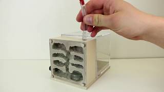 The THA Fortress  Formicarium Review amp Tutorial [upl. by Ayat]