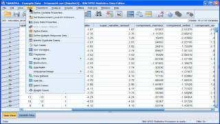 Select Cases  SPSS part 1 [upl. by Sivet]