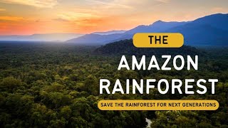 The Amazon Rainforest  Save the Rainforest for Next Generations  Hindi Infinity Stream [upl. by Jentoft]