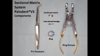 Placement of Sectional Matrix System Poladent® V3 [upl. by Ninehc766]