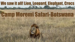 Camp Moremi Safari Experience Botswana  Okavango Delta  Africa Part 4 [upl. by Olivero]