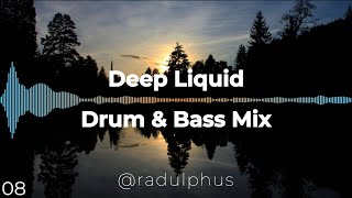 Deep Liquid Drum and Bass Mix  Full Tracklist  Visualiser  Mixed by Radulphus [upl. by Aidam]