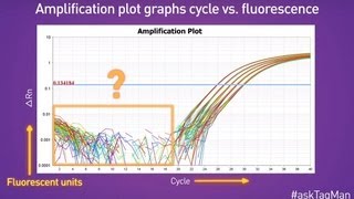 Baselines in RealTime PCR  Ask TaqMan® Ep 5 [upl. by Donoho620]