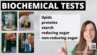 Alevel BIOCHEMICAL TESTS test for starch reducing sugars nonreducing sugars proteins lipids [upl. by Paolo683]