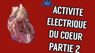 Physiologie Cardiaque  Activité électrique du coeur Part2 [upl. by Donnenfeld363]