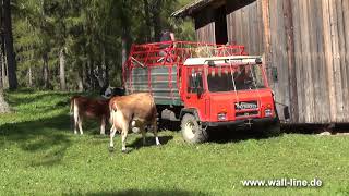 Südtirol Bergbauern bei der Arbeit in Sexten und auf der Seiser Alm [upl. by Fe]