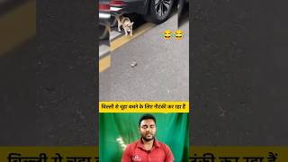 बिल्ली से चूहा बचने के लिए नौटंकी कर रहा हैं 😂😂 shorts cat rat catshorts funnyshorts [upl. by Tyree]