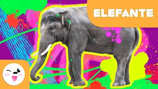 El elefante 🐘 Animales para niños 🌳 Episodio 5 [upl. by Melton588]