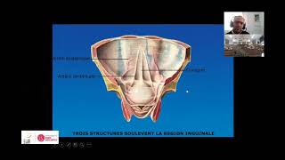 Cours Anatomie architecture de péritoineDr Bassem Abid [upl. by Eitteb]