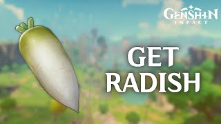 How to Get Radish in Genshin Impact 2024  Genshin Impact Tutorial [upl. by Kimmel]