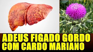 🔴ACABE COM A GORDURA NO FIGADO DE VEZ E COM A CIRROSE HEPATICA COM CARDO MARIANO CARDO SANTO [upl. by Janene]