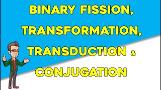 Reproduction methods in Bacteria  Transduction Transformation Conjugation [upl. by Crompton]