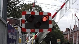 Level Crossing  Aviva Stadium Lansdowne Road [upl. by Sirrad390]