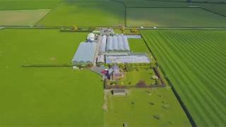 Cochranes Nurseries Longtown [upl. by Mueller]