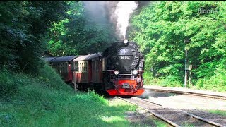 Dampfloks im Harz  HSB  Steam Trains  Züge [upl. by Rozek]