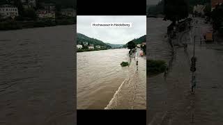 Heidelberg Altstadt Hochwasser 262024 instagram heidelberg hochwasser unwetter evakuierung [upl. by Thornie]