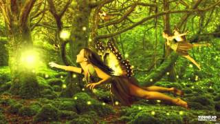 Dance of the Wild Faeries  Wendy Rule Gary Stadler [upl. by Richy116]