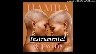 Q Twins ft DJ Tira  Hamba Instrumental by Waggadj [upl. by Annaitsirhc]