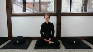 Zen Meditation Instruction How to Meditate [upl. by Eelirrem]