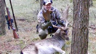 Pirsch auf Damhirsch  Medal Class Fallow Buck Hunt [upl. by Kahler292]