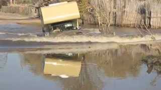 Water crossing in Moremi Game Reserve Botswana [upl. by Rizzo863]