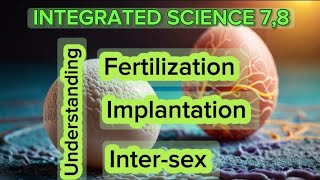 LESSON 16 Understanding Fertilization Implantation and intersex Integrated Science Grade 7 8 9 [upl. by Obala]