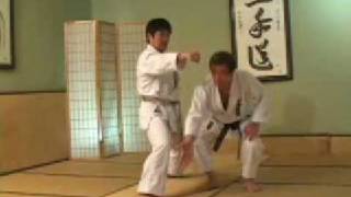 Shotokan KihonIdo [upl. by Thibaut]