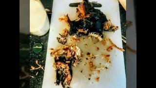 Recette graines de courges moulues en sauceMbikaMuteta African food [upl. by Ayanaj]