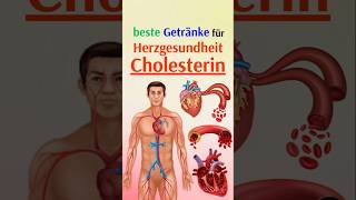 Die besten Getränke für Herzgesundheit und Cholesterin [upl. by Ailerua]