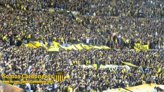 quotSoy del Carbonero si señorquot  quotManya sos mi locuraquot  Copa Libertadores 2013  Peñarol 01 Vélez [upl. by Gans901]