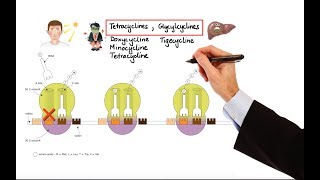 Pharmacology – ANTIBIOTICS – DNA RNA FOLIC ACID PROTEIN SYNTHESIS INHIBITORS MADE EASY [upl. by Colline]