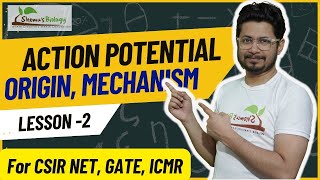 Action potential physiology  Generation of action potential steps [upl. by Lisan]