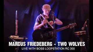 Marcus Friedeberg  quotTwo Wolvesquot live with Loopstation Boss RC300 [upl. by Jennilee]