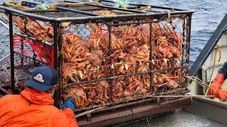 Amazing Catch Hundreds Tons Alaska King Crab With Modern Big Boat  Amazing Crab Fishing on the sea [upl. by Llirrehs]