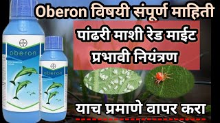 Oberon insecticideपांढरी माशी नियंत्रण Bayer insecticide oberon bayerAapliShetiAaplshivarD [upl. by Ramal220]