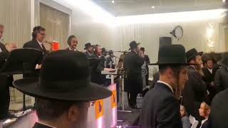 Avrumi Berko 🎹 Suscher Guttman 🎤 Shira Choir [upl. by Maiocco299]