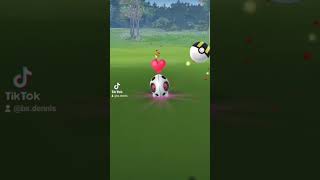 Pokemon Go Shiny Stollunior pokemongo pokemon viralshorts [upl. by Clemens844]