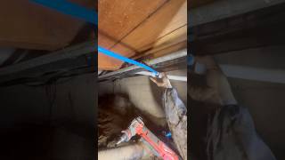 repiping a house with expansion pex [upl. by Ikir]