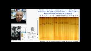 Endopeptidases et étude de la diversité génétique du palmier dattier  تنوع النخيل [upl. by Sibyl647]