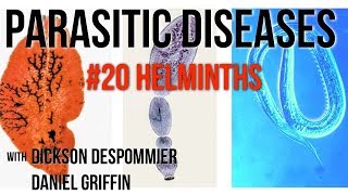 Parasitic Diseases Lectures 20 Helminths [upl. by Assillim]