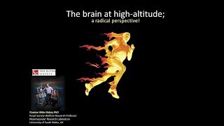 The brain at highaltitude a radical perspective [upl. by Henka194]