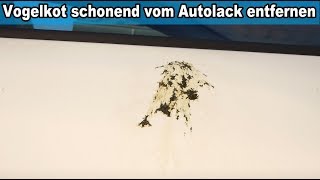 Eingetrockneten eingebrannten Vogelkot vom Auto Lack entfernen Anleitung Autolack Vogelkotentferner [upl. by Jegger]