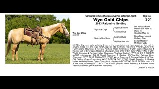 Pitzer Ranch Fall Sale 2024 Lot 301 WYO GOLD CHIPS [upl. by Kimon]